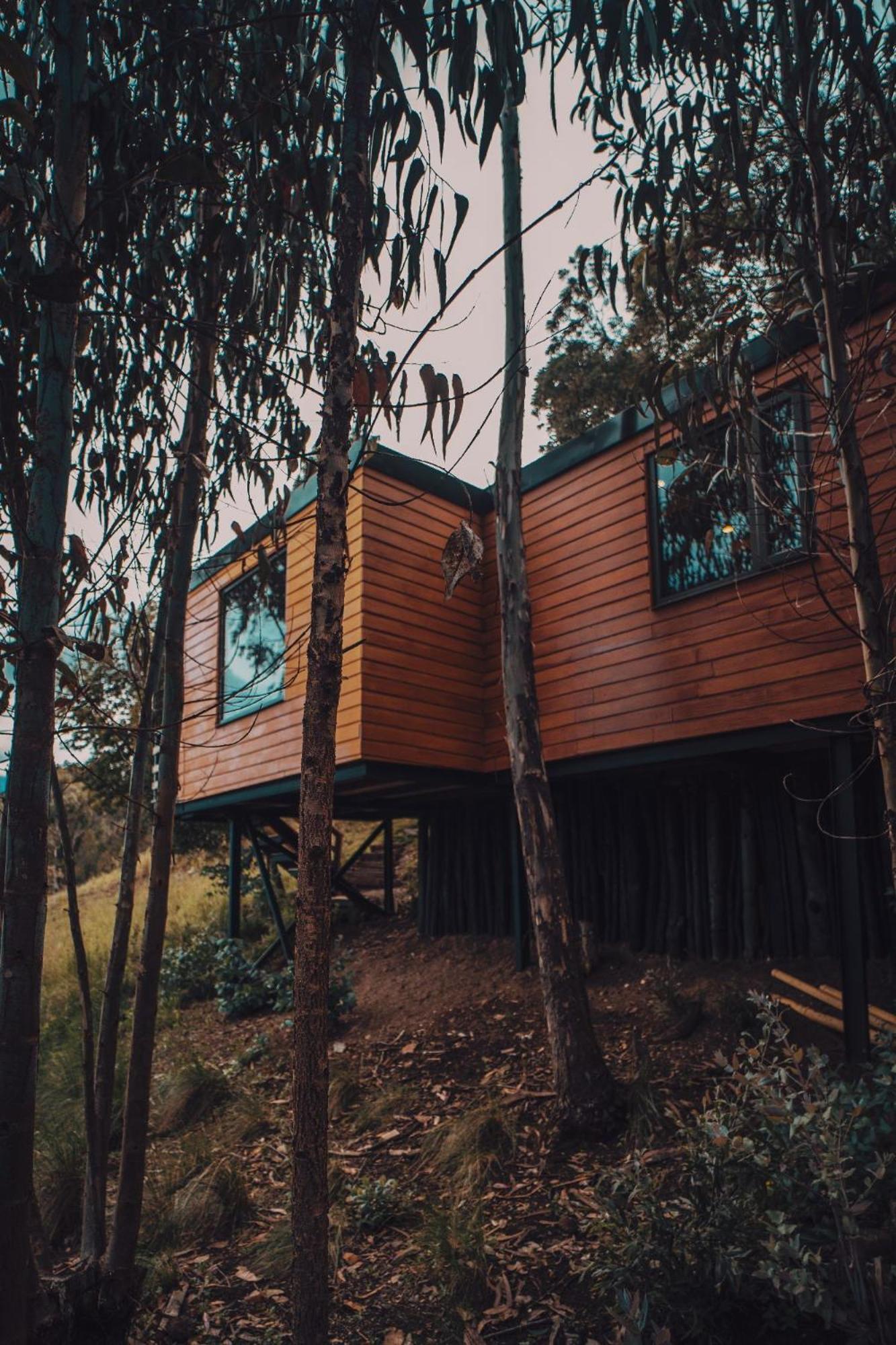 La Quinta Glamping - De Tota *